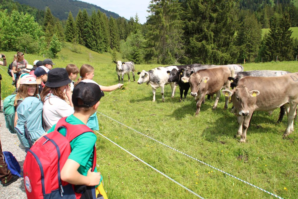Auch dieses Jahr konnten unsere 5. Klässler wieder „Ganz-Schön-Mutig-Tage“ im Allgäu erleben und dabei gemeinsam die Bergwelt rund um Unter- und Oberjoch zu erkunden.
